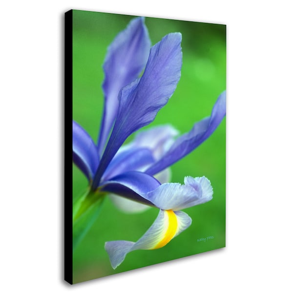 Kathy Yates 'Spring Iris' Canvas Art,16x24